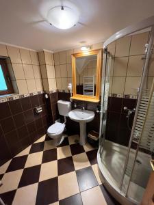 アズガにあるPensiunea Casa Bogdan Azugaのバスルーム(洗面台、トイレ、シャワー付)