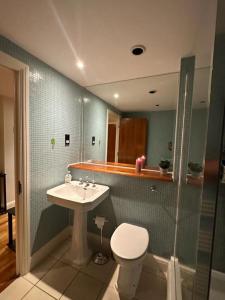 La salle de bains est pourvue de toilettes, d'un lavabo et d'une douche. dans l'établissement Turner House, à Londres