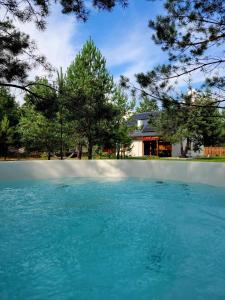 a pool of blue water in front of a house at Borsk Sielanka in Borsk