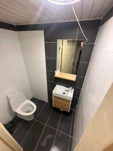 La salle de bains est pourvue de toilettes, d'un lavabo et d'un miroir. dans l'établissement Rum C, à Södervärn