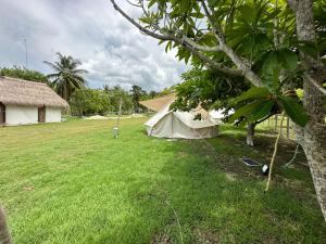 a tent in a field next to a house at Luigi's Glamping in Bacalar