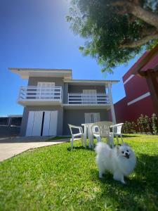 um cão branco parado na relva em frente a uma casa em Casa Bellatorres em Passo de Torres