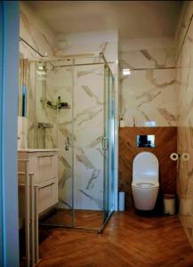 a bathroom with a glass shower and a toilet at Niechorze Modrzewiowa Apartament in Niechorze