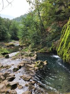 einen Fluss mit Felsen an der Seite eines Berges in der Unterkunft Viata Naturala Green Life in Gălăşeni