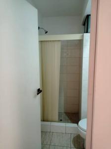 uma casa de banho com um chuveiro e um WC. em Cosy and full of plants apartment em Arequipa