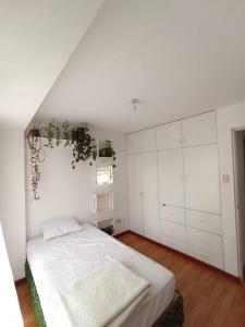 um quarto com uma cama com uma planta na parede em Cosy and full of plants apartment em Arequipa