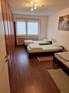 Habitación con 2 camas y ventana en 2-Zimmer Messe-Apartment Nbg-Langwasser 60qm en Núremberg