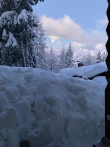 Obiekt Ski in - Ski out am Hauser Kaibling zimą
