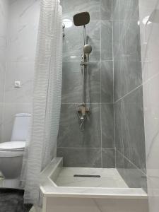 y baño con ducha, aseo y cortina de ducha. en мини-отель Villa Sofia город Шымкент, проспект Тауке хана, жилой дом 37-2 этаж, en Shymkent