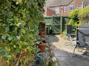a garden with flowers and plants in a yard at George Street Beverley in Beverley