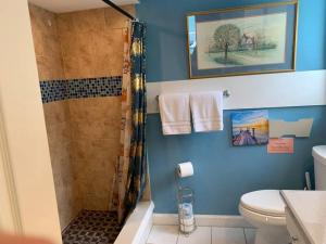 a bathroom with a shower and a toilet at Oceanview home on Indian Rocks Beach in Clearwater Beach