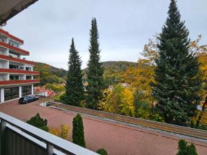 un balcone con alberi e un'auto su strada di Gemütliche Ferienwohunung a Bad Grund