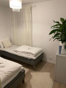 a bedroom with two beds and a potted plant at Leilighet i Hagavik 