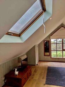 Φωτογραφία από το άλμπουμ του Alyeska Loft - Apollo Bay studio loft apartment σε Apollo Bay