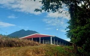 a building with a red roof next to a field at Volcano Tenorio Glamping Ranch - 3 Tents in Rio Celeste