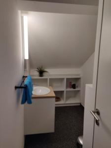 een kleine badkamer met een wastafel en een aanrecht bij Corso studio 0303 in Leuven