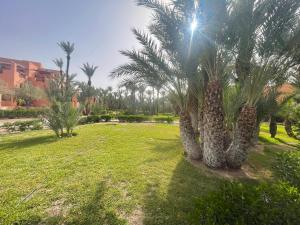 a group of palm trees in a park at Palmeraie dar dmana in Marrakesh