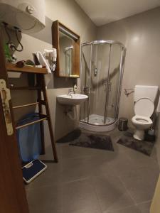 a bathroom with a shower and a toilet and a sink at Gondola Studio Brzeće Kopaonik in Brzeće