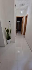 a white hallway with a potted plant in a building at SUITES-HOME, CIDADELA in Praia