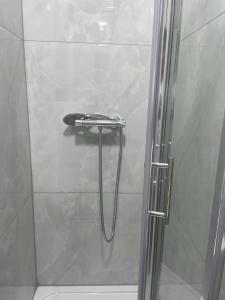 La salle de bains est pourvue d'une douche avec une porte en verre. dans l'établissement Studio Flat Private Shower Wc and Kitchenette, à Londres