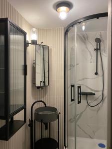 a bathroom with a shower and a sink and a mirror at Arte-locum Apartamenty przy Rynku in Wrocław +70 photos