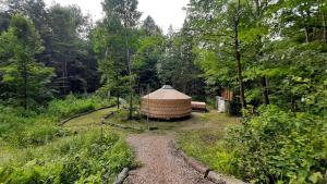 a yurt in the middle of a forest at La Bohémienne des yourtes du petit ruisseau in Mandeville