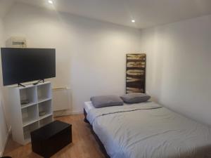 a bedroom with two beds and a flat screen tv at Cabane pas loin de la plage in Cagnes-sur-Mer