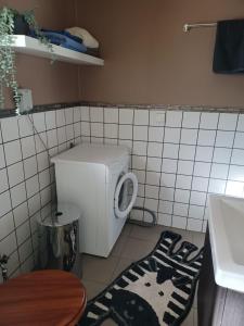 La salle de bains est pourvue d'un lave-linge et d'un lavabo. dans l'établissement Turmvilla Mörlunda, à Mörlunda