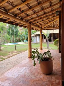 une terrasse avec une pergola en bois et une plante en pot dans l'établissement Sítio Vale da Cachoeira, à Pôrto Firme