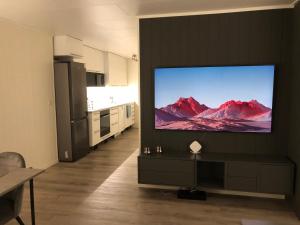 TV a/nebo společenská místnost v ubytování Moderne og trivelig leilighet, med unik utsikt