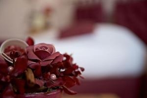 una maceta con flores rojas en una mesa en La Grange de Boulaines, en Méru
