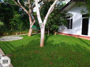 a green yard with a tree in front of a house at Hanthana View Homestay in Kandy
