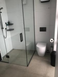 a bathroom with a glass shower and a toilet at Inniscort Retreat in Cromwell