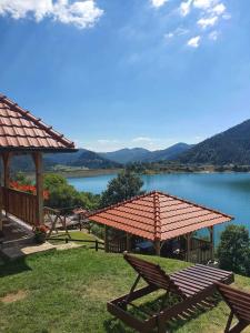 ZaovineにあるDraganovi Konaciの湖の景色を望むピクニックテーブル