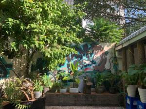 uma parede com um monte de vasos de plantas sobre ele em Vang Vieng Lily Backpackers Hostel em Vang Vieng