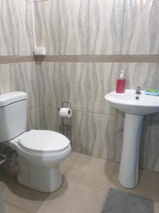 a bathroom with a toilet and a sink at Rooftop Inn Apartments in Piarco