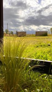 a field of tall grass with a fence in the background at Casa Vino Andino in La Consulta
