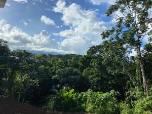 a view of the forest from a hillside at Sun7 appart T2, avec piscine partagée, logement moderne et cosy in Petit-Bourg
