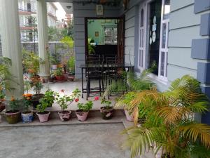 Ein Garten an der Unterkunft Hotel Blue moon Pokhara