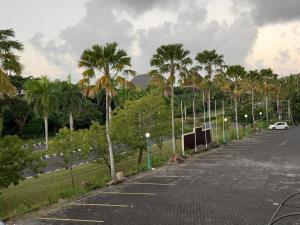 parking z palmami i samochodem w obiekcie Rumah WJ rooms and suites w mieście Uluwatu