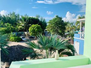 Vista de la piscina de Beach Villas o alrededores