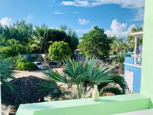 uma vista para um quintal com palmeiras e plantas em Beach Villas em Nassau