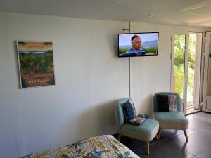TV a/nebo společenská místnost v ubytování LEU MYOSOTIS Studio dans les Hauts de Saint-Leu Réunion
