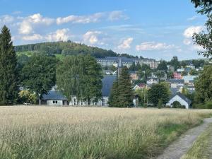 un campo de hierba con una ciudad en el fondo en haustierfreundliche Ferienwohnung Greifenbach, en Geyer