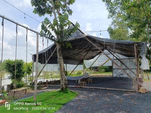 een tent met een hangmat en een boom bij Homestay Mẹ Khang villas,Camping,Glamping in Cu Chi