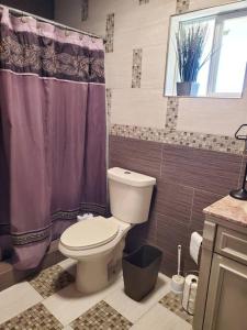 ein Badezimmer mit einem WC und einem lila Duschvorhang in der Unterkunft Spacious West El Paso 19 min from Airport, Fort Bliss Military Base in El Paso