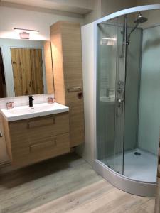 een badkamer met een douche en een wastafel bij Le Bois des Lièvres in Saint-Pierre-de-Chartreuse