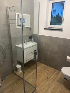 un baño con lavabo y ducha en Schöne gemütliche Wohnung, Ferienwohnung in ruhiger Lage, en Auerbach