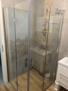 een douche met een glazen deur in de badkamer bij Schöne gemütliche Wohnung, Ferienwohnung in ruhiger Lage in Auerbach