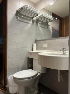 bagno con servizi igienici, lavandino e specchio di 埔里夏都華蔓山林日式會館 Puli Huaman Villa a Puli